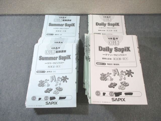 SAPIX 小6 サピックス デイリー/サマー 国語 【計56回分】 通年セット