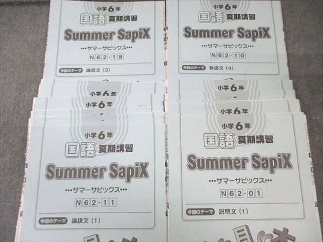 SAPIX 小6 サピックス デイリー/サマー 国語 【計56回分】 通年セット