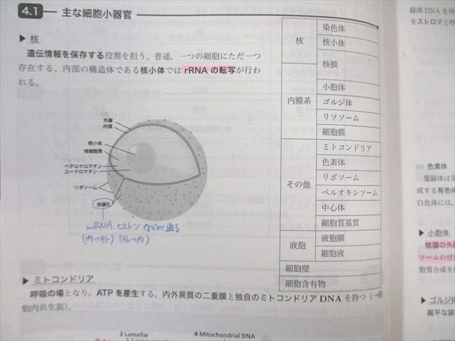 鉄緑会 生物発展講座/問題集 2020 計2冊 053M0D - メルカリ