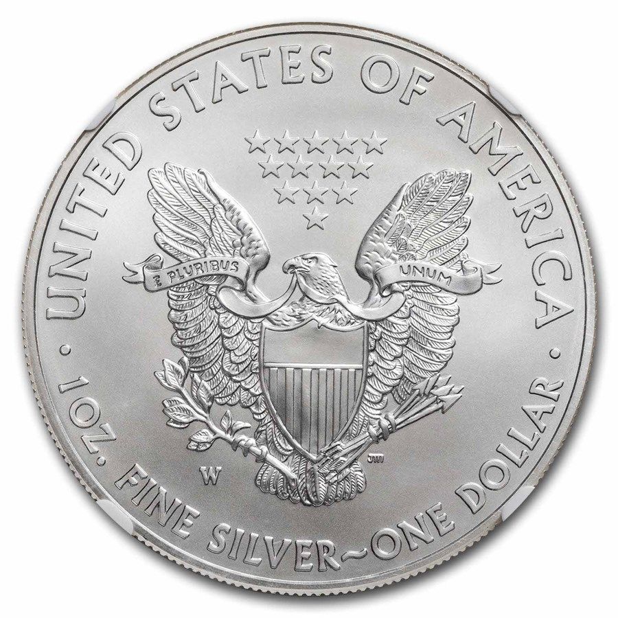 保証書・スラブ付き] 2013年 (新品) アメリカ「イーグル・ウオーキング