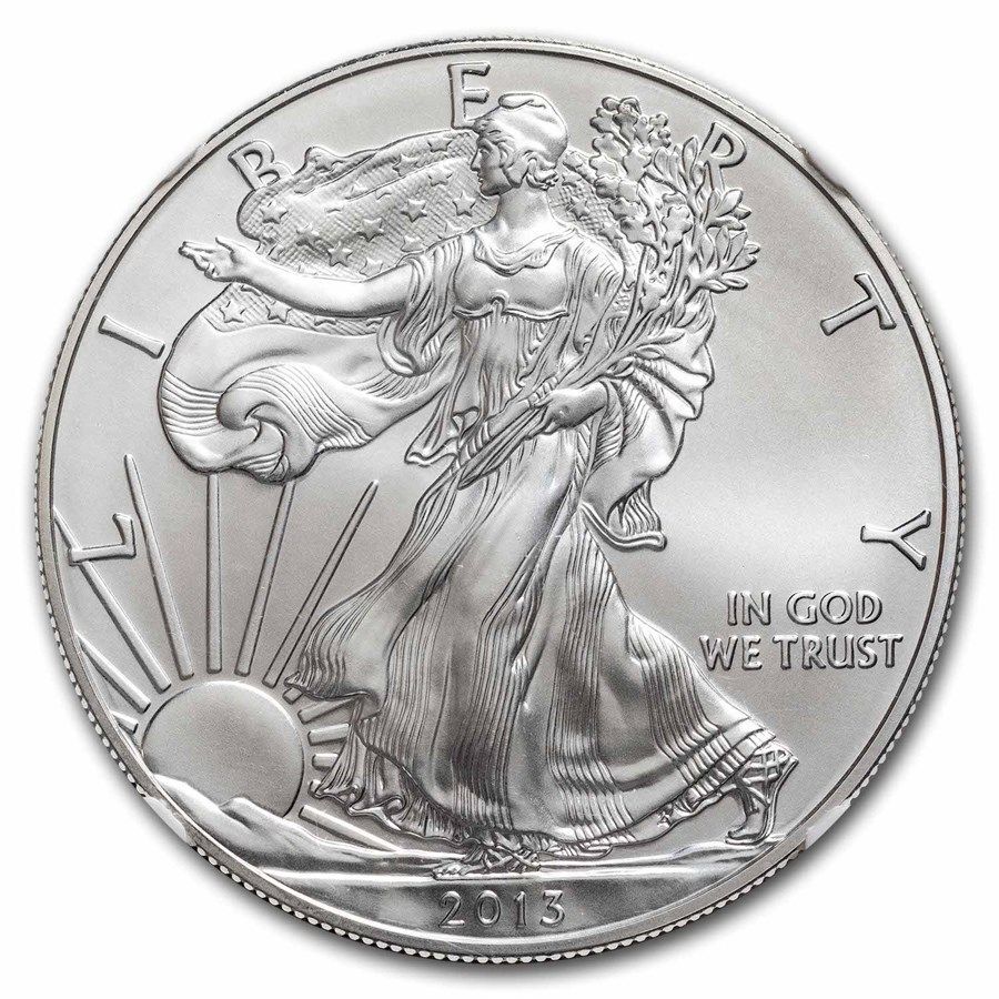 保証書・スラブ付き] 2013年 (新品) アメリカ「イーグル・ウオーキング