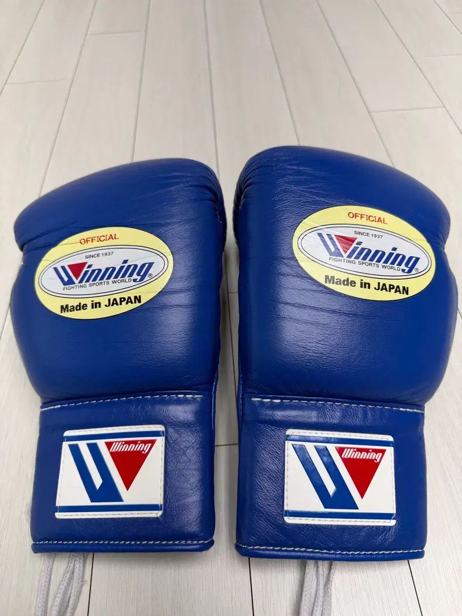ウィニング レイース グローブ 10オンス ブルー