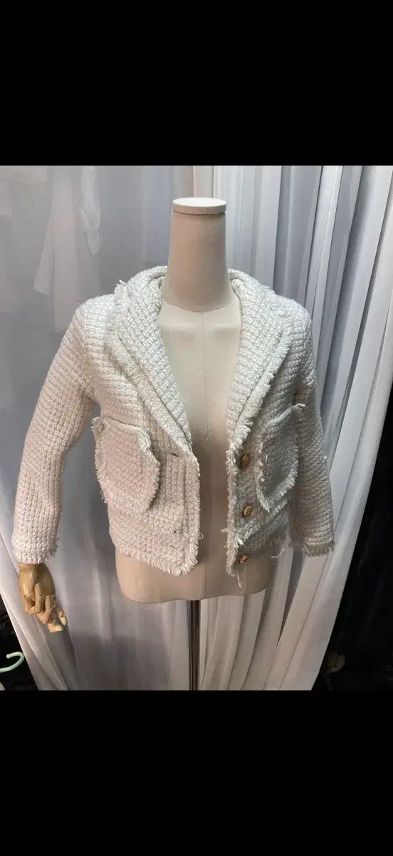 木彫 珍品 恐竜 イリテーター(イリタトール) 頭骨模型 14cm 木彫 珍品