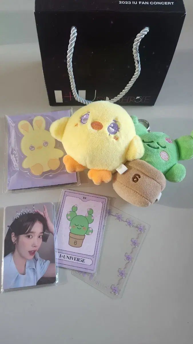 IU 2025 ファンコンサート I UNIVERSE