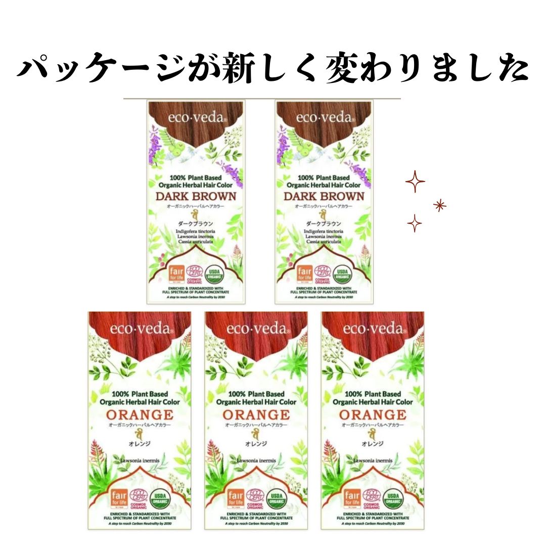 瀬尾孝正 作 漆絵折 屏風 黒漆 朱漆 人気 美術館収蔵作家 茶室 花文図