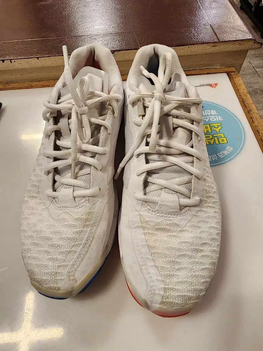 白ミズノ バドミントンシューズ 255