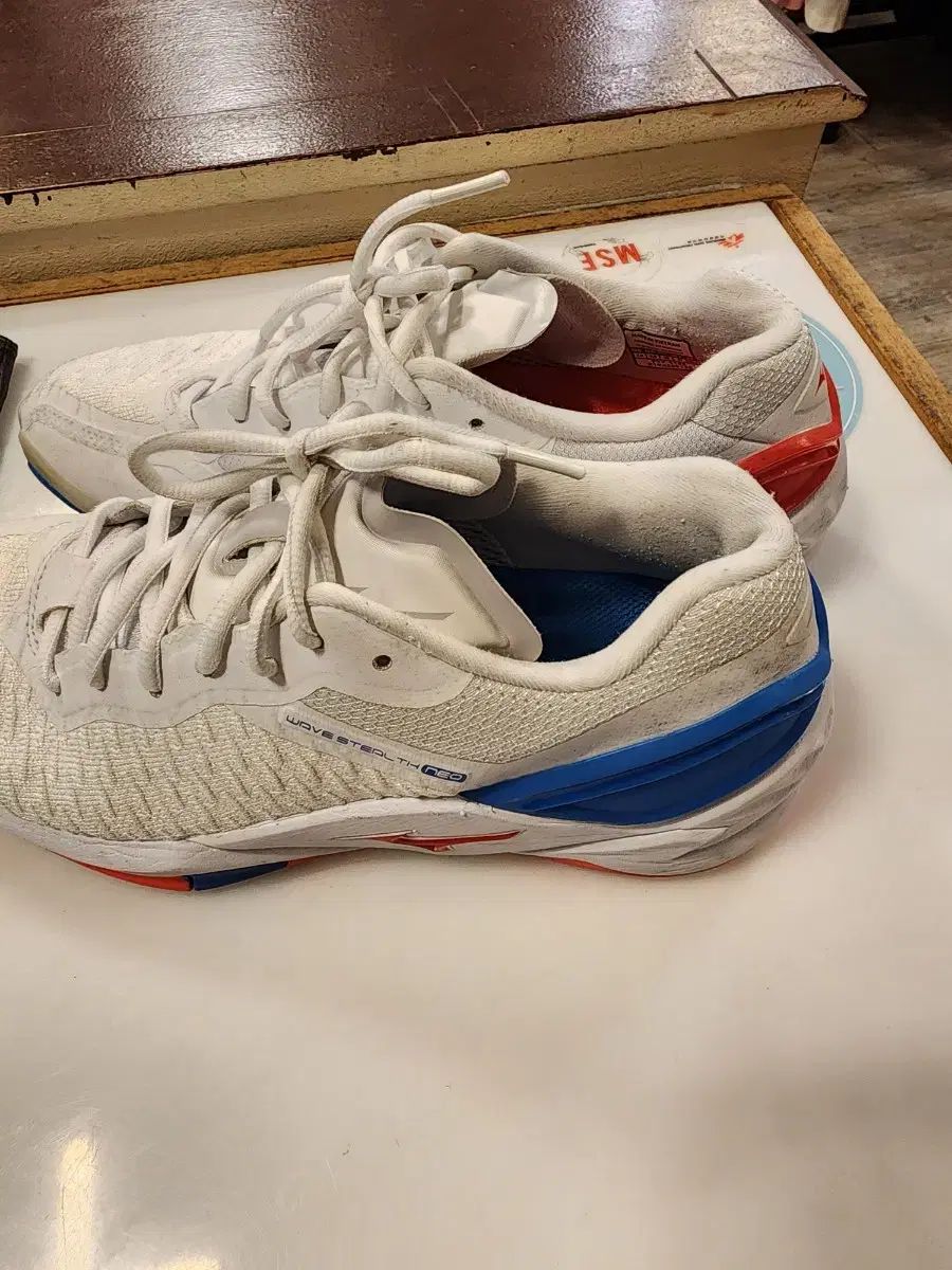 白ミズノ バドミントンシューズ 255