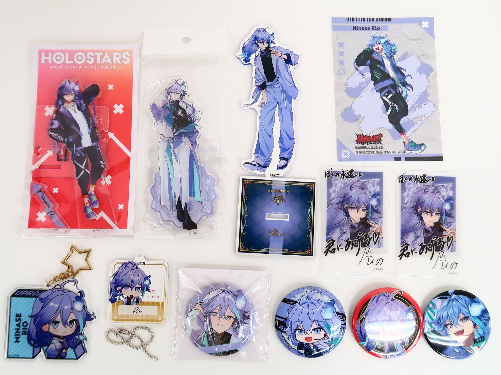 12点セット Vtuber ホロスターズ 水無世燐央 グッズ/アクリルスタンド