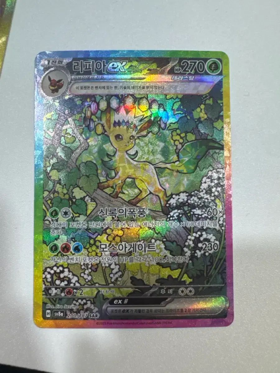 ポケモンカード 一般版 リーフィア SAR