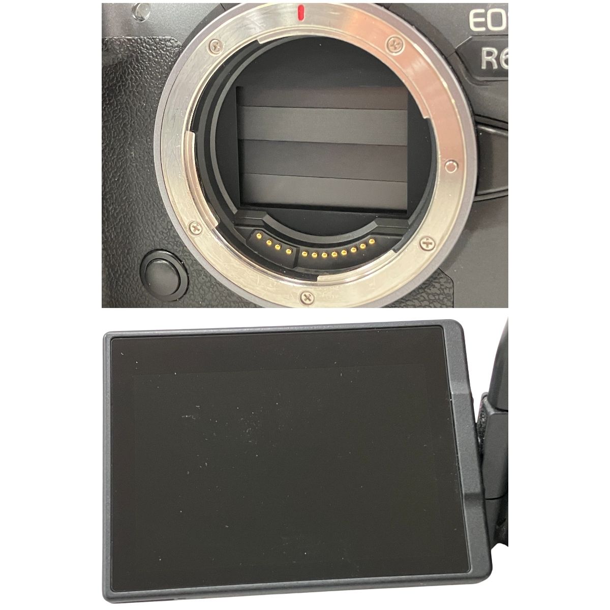  Canon EOS R 6 ミラーレス デジタル 一眼 ボディ キャノン カメラ ミラーレス一眼 デジタルカメラ