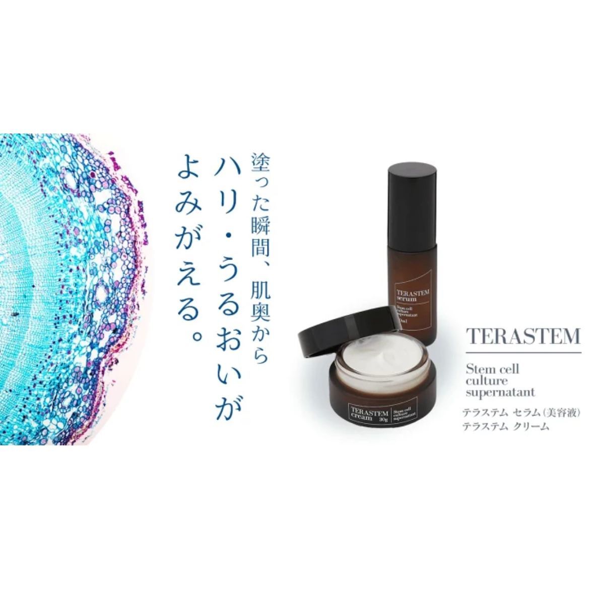 水橋保寿堂製薬 テラステムクリーム 30g【送料込み】 - メルカリ