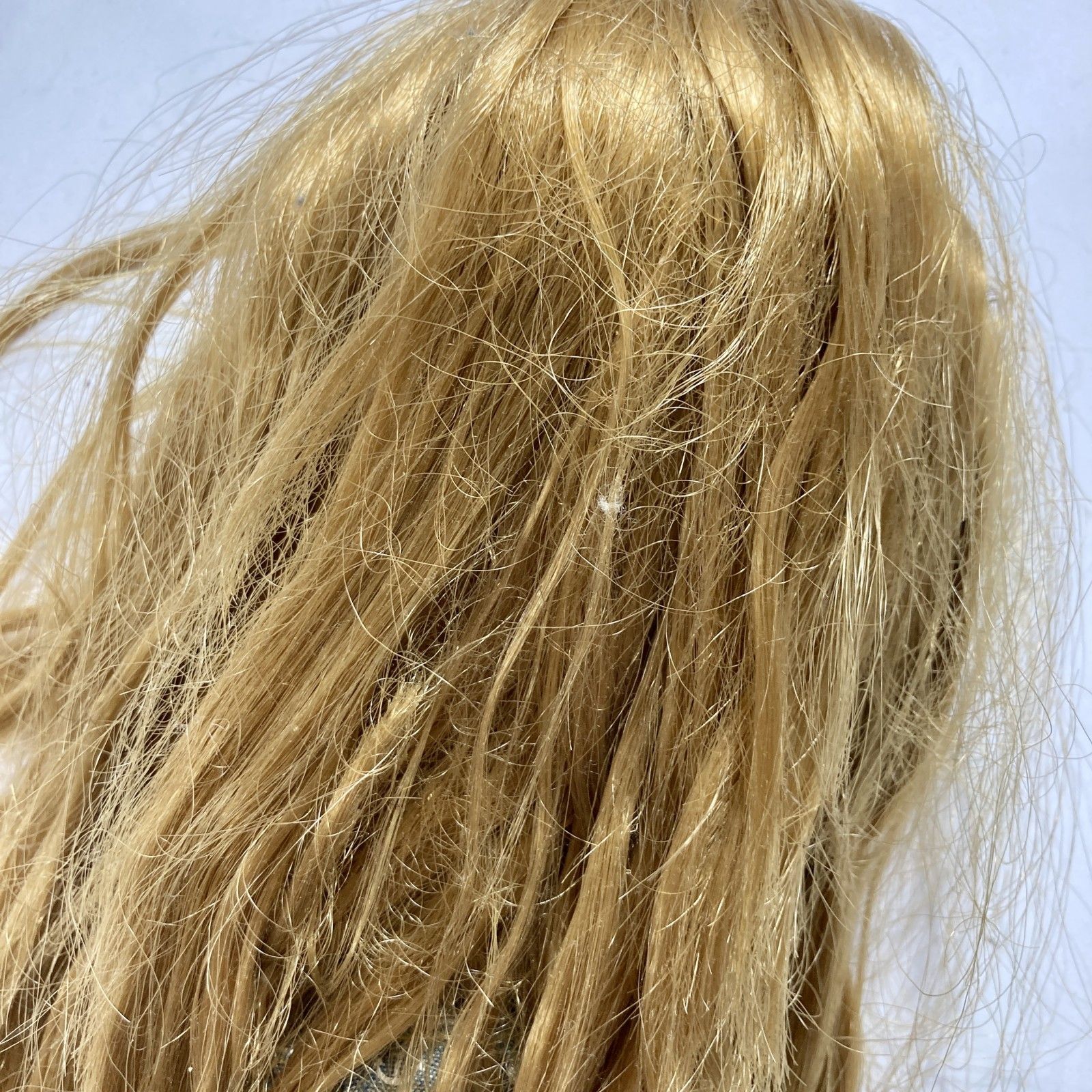 2014年 ショップ