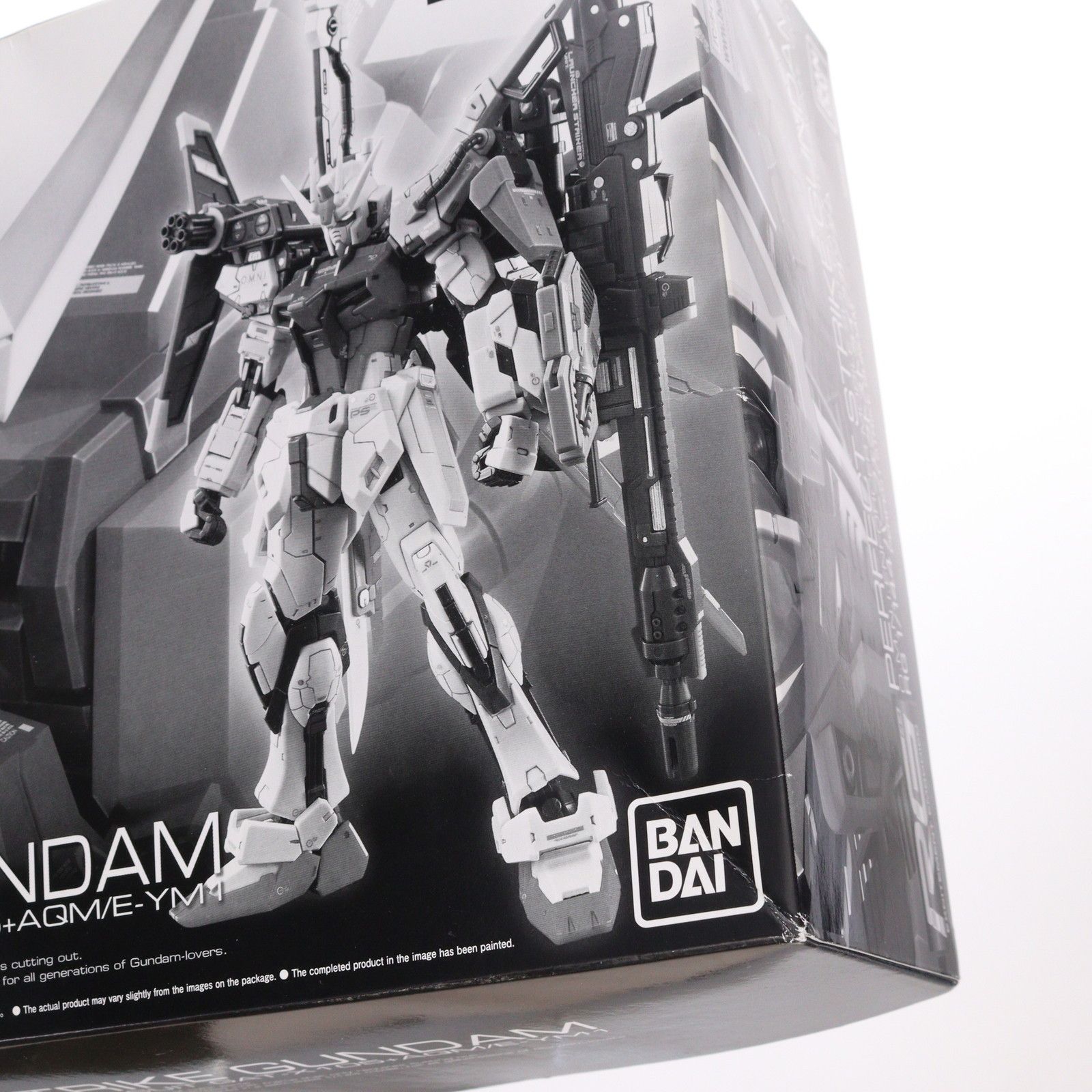 プレミアムバンダイ限定 RG 1/144 GAT-X105+AQM/E-YM1 パーフェクト