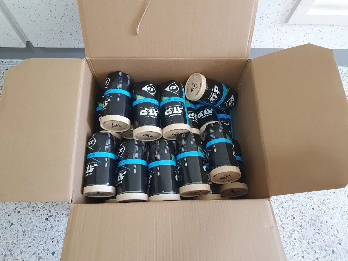 ダンロップ テニス 球 29缶 み8