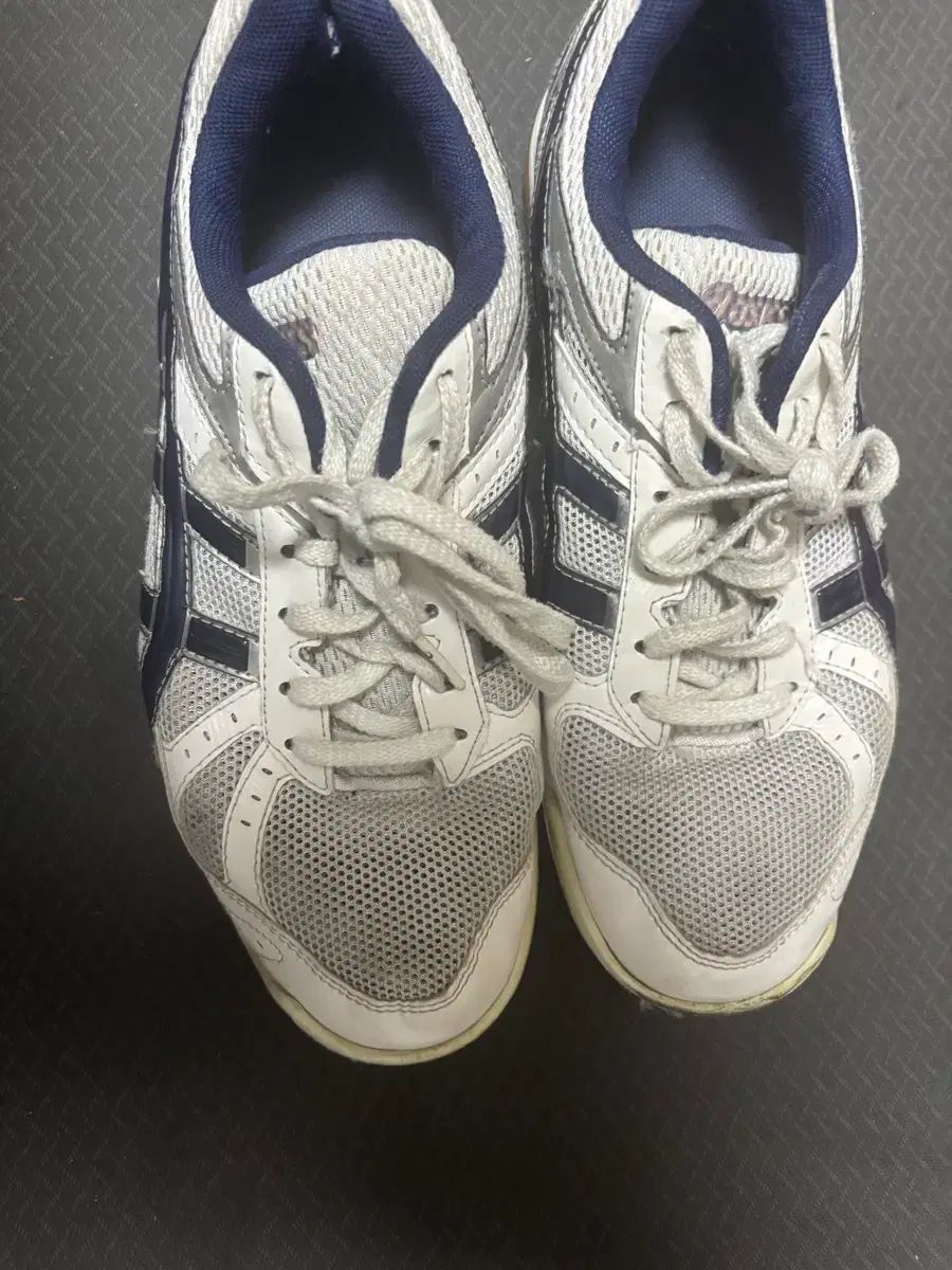 アシックス ローテ リブレ 体大入試靴 280