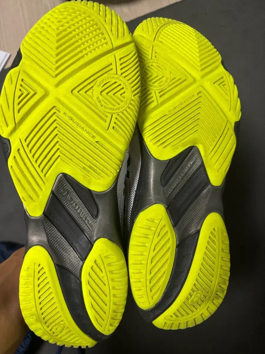 アシックス バリスティック ff 3 体大入試用バレーボールシューズ 285