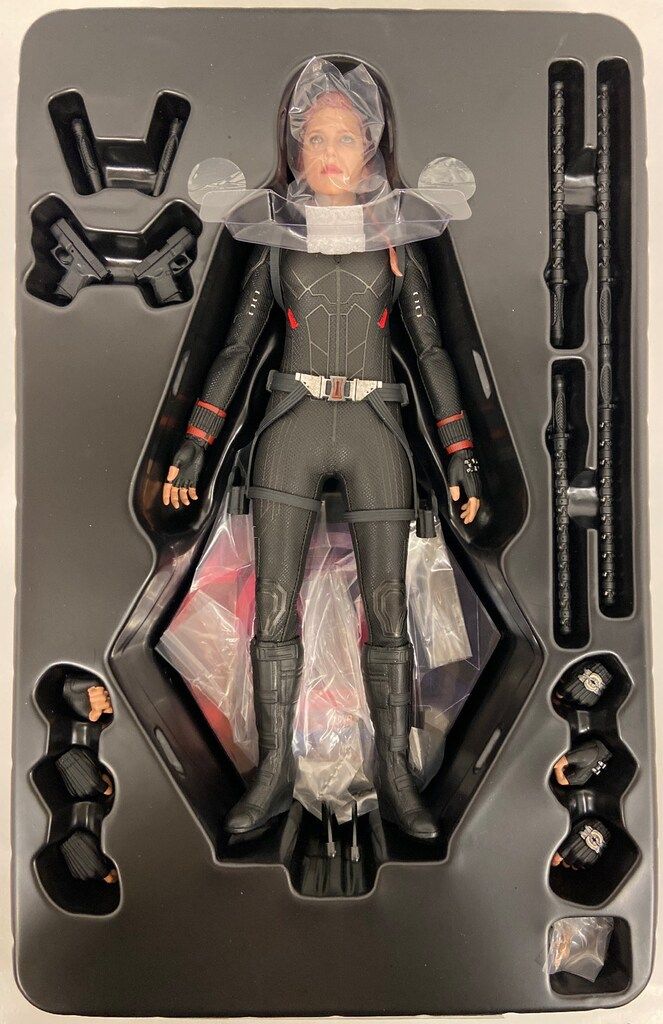 HOTTOYS MOVIE MASTERPIECE BLACK WIDOW (MMS533) MMS533 Black Movie