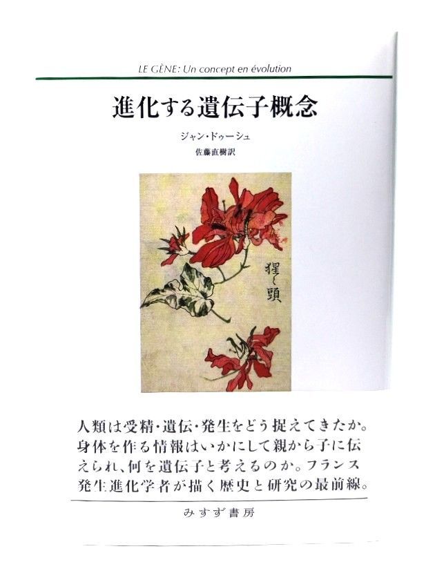 桐八角香合 すずめ 作家物 共箱 美術品・アンティーク・コレクション 桐八角香合 すずめ 作家物 共箱