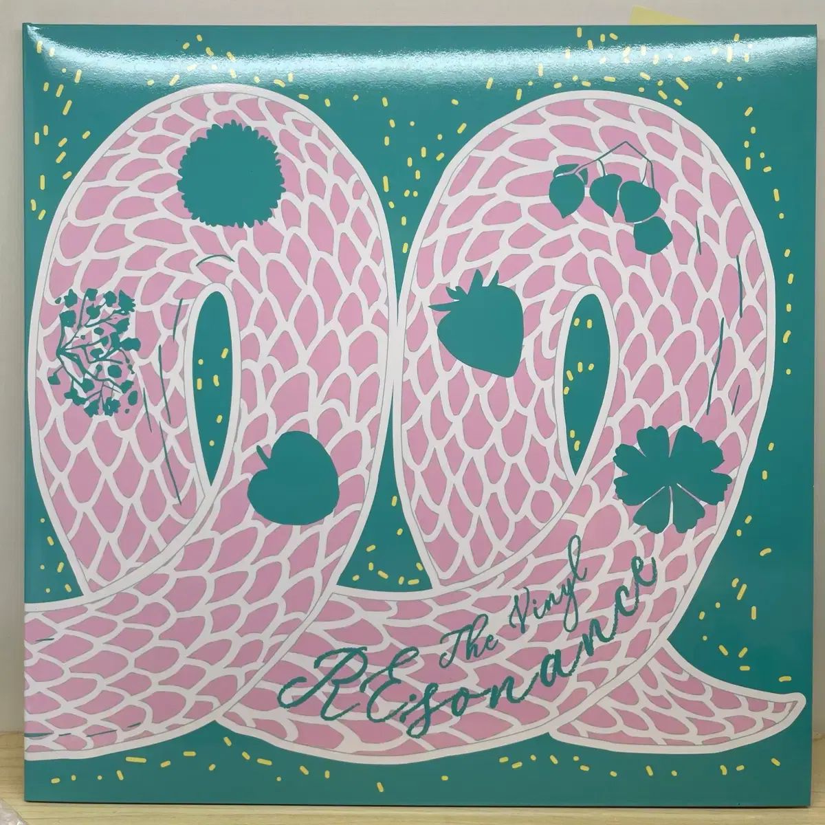 共鳴 LP LUCY ルシ ユーダビンバンド ラクーナ 収納された ペク アー