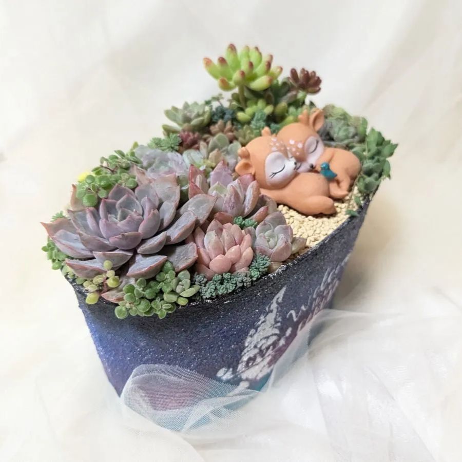 多肉植物の寄せ植え welcomeリメ鉢寄せ植え 可愛い多肉植物寄せ植え