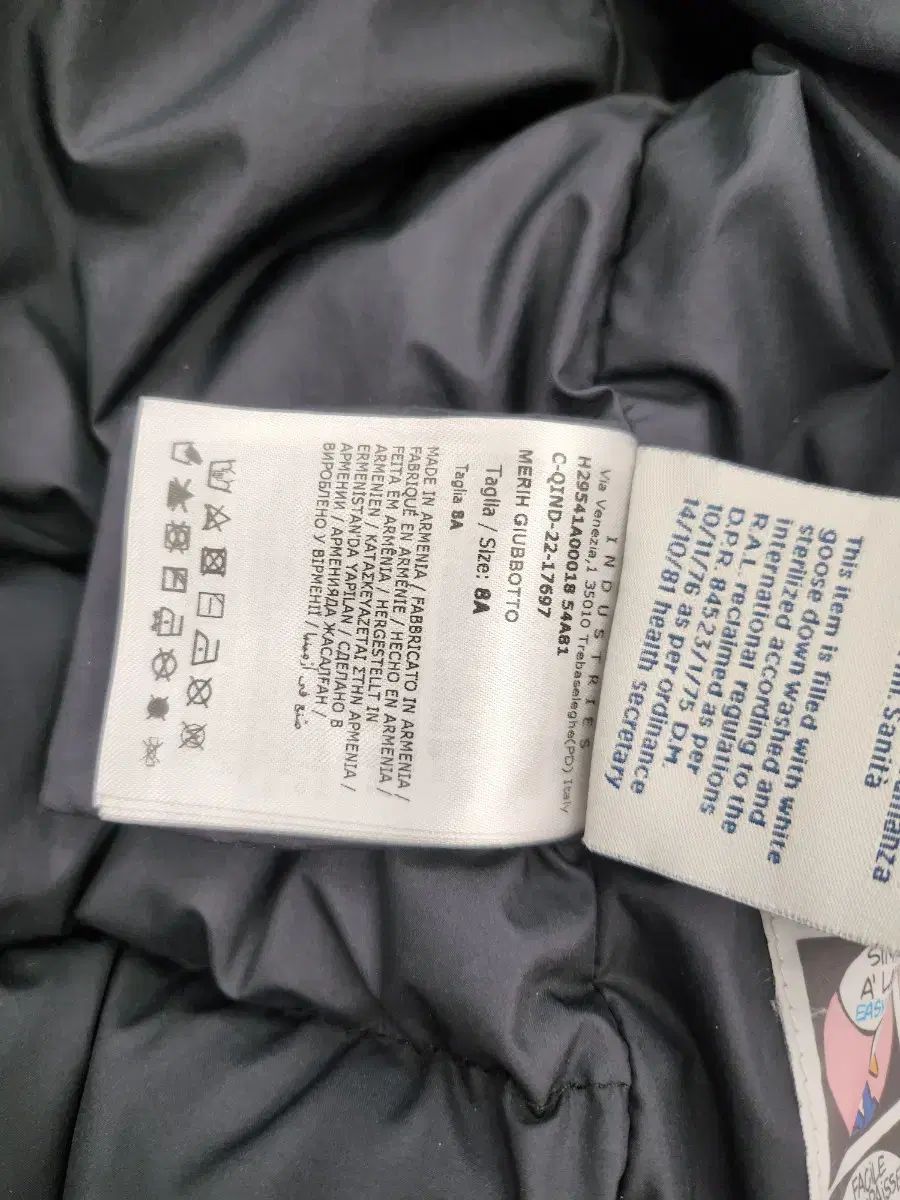 ブラック ダウン