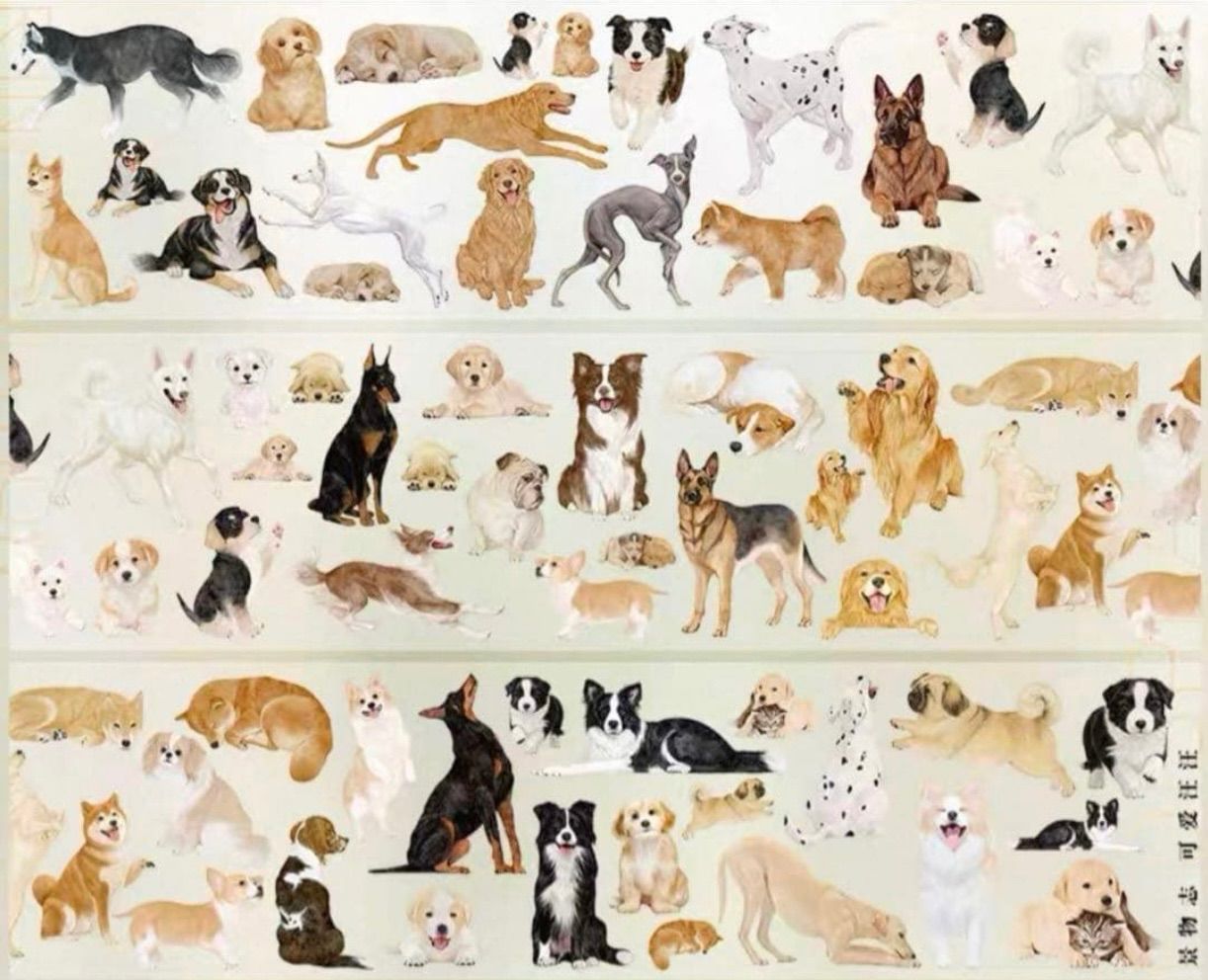 PET 5cm×5m 50cm/loop 可爱汪汪 海外マスキングテープ 海外マステ 犬