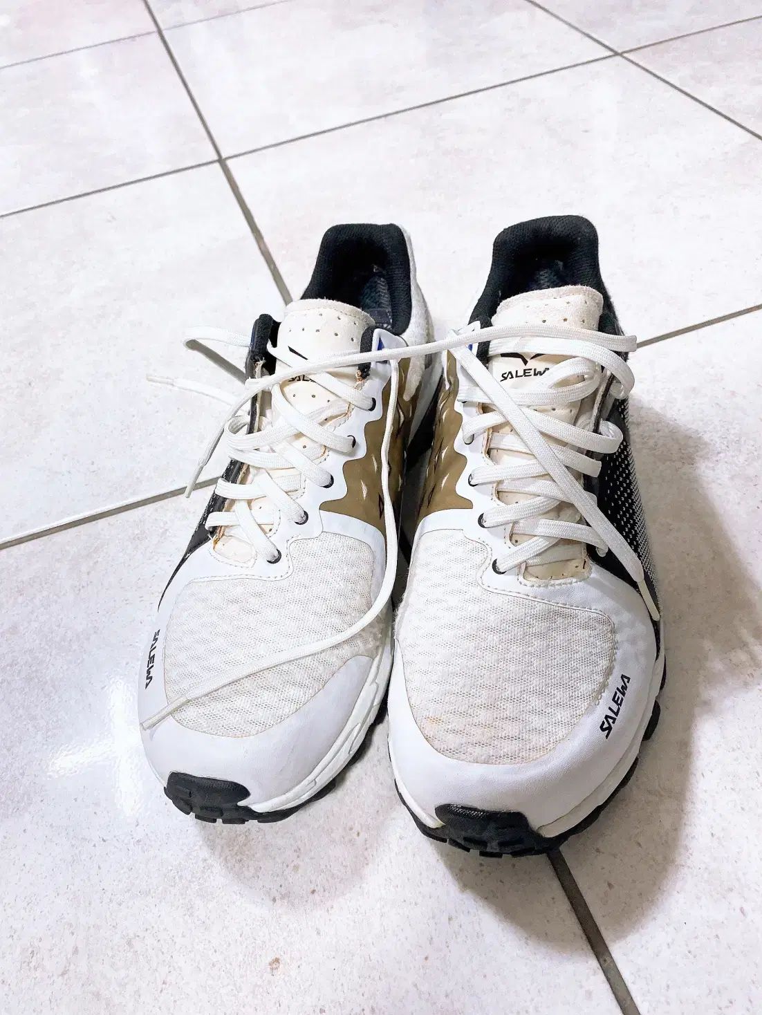 モンヴィンテージ 270 SELEWAメンズGORE TEXシューズ