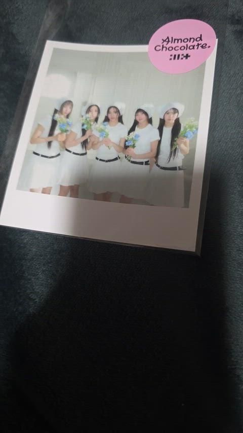 バタフライ コラボ