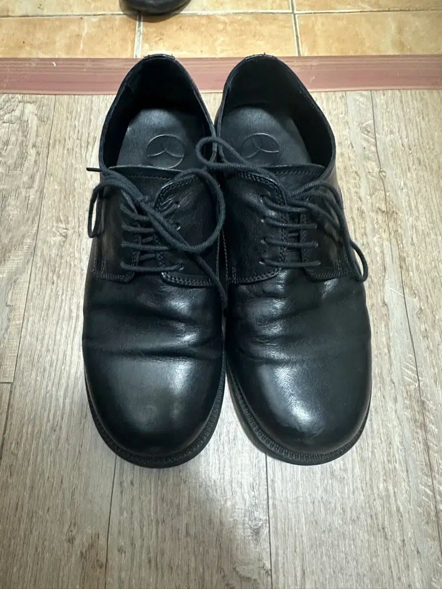 ヤセ ホーリーホースハイド 255