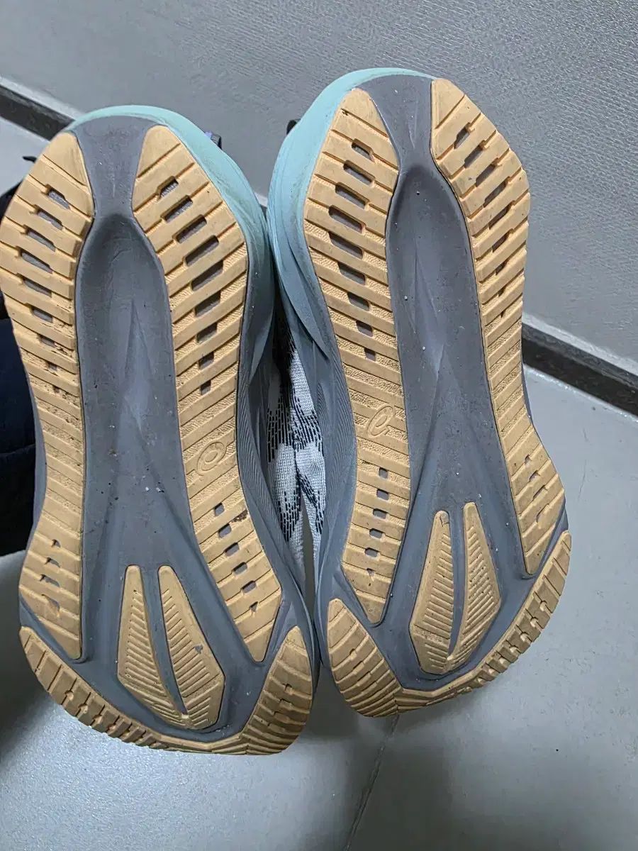  アシックス ノヴァブラスト5 265 登山靴 トレッキングシューズ アウトドアシューズ