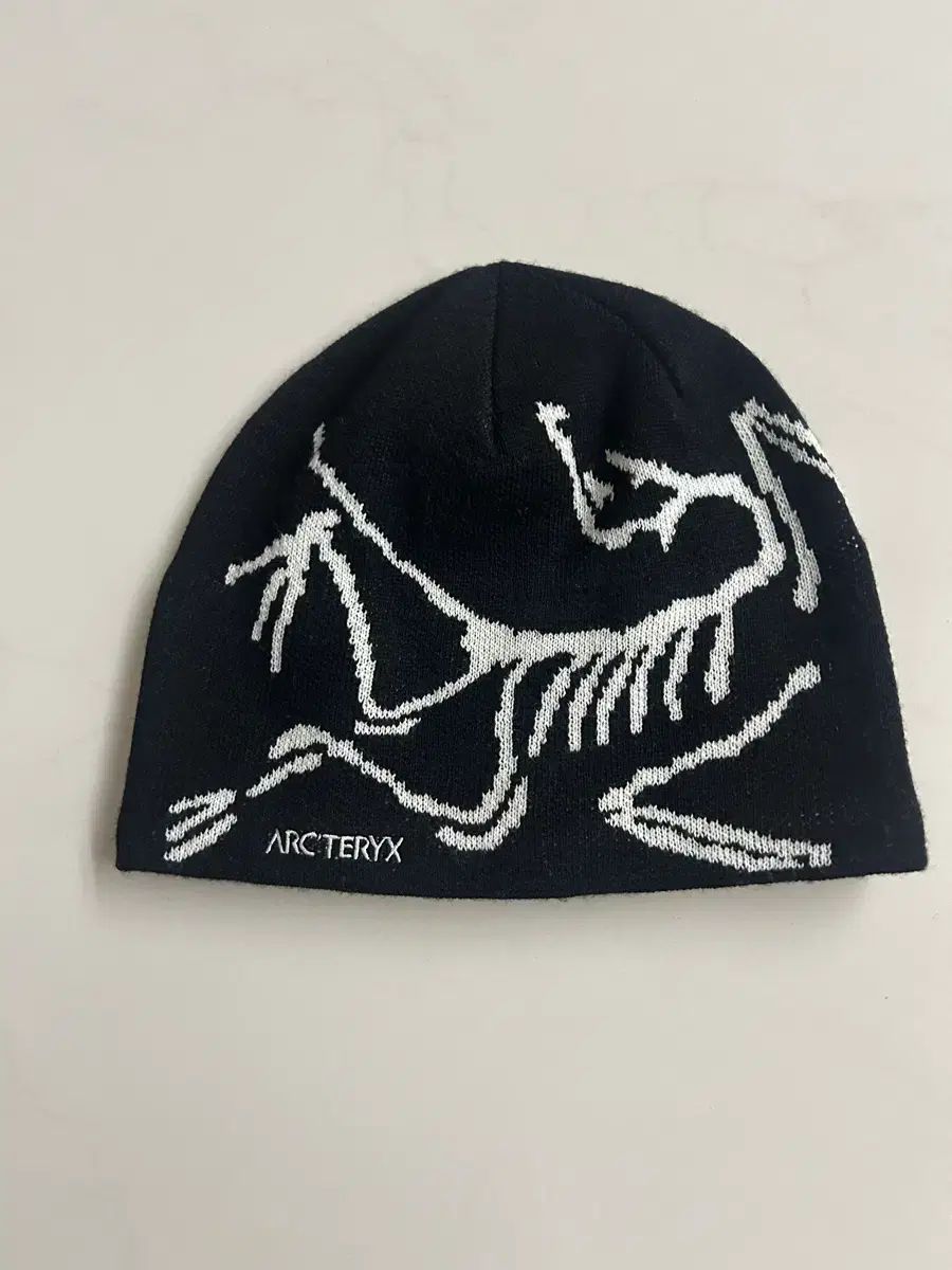 アークテリクス ビーニー BIRD ヘッド トーク