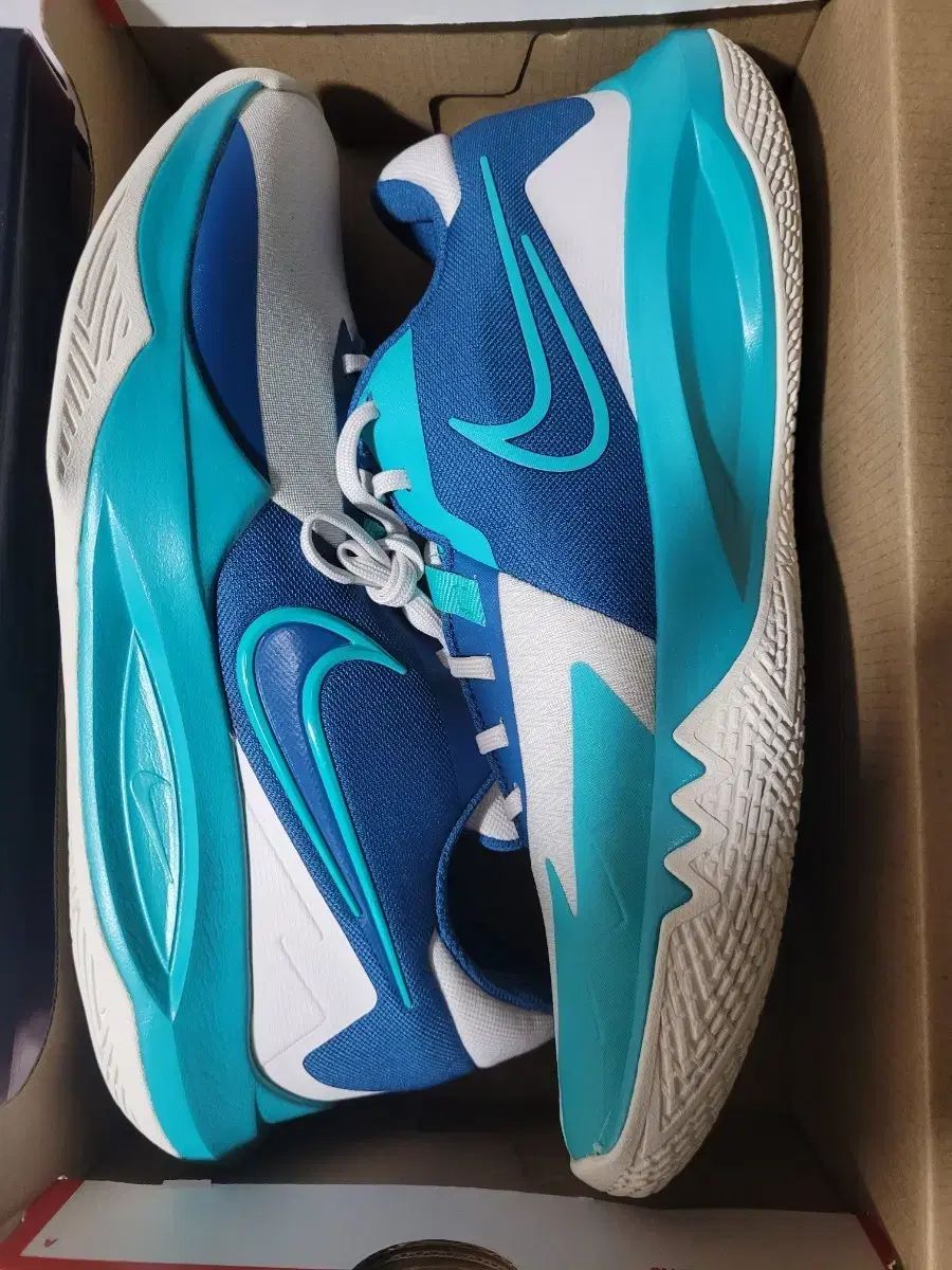 ナイキ フリーシジョン 海外モデル バスケシューズ