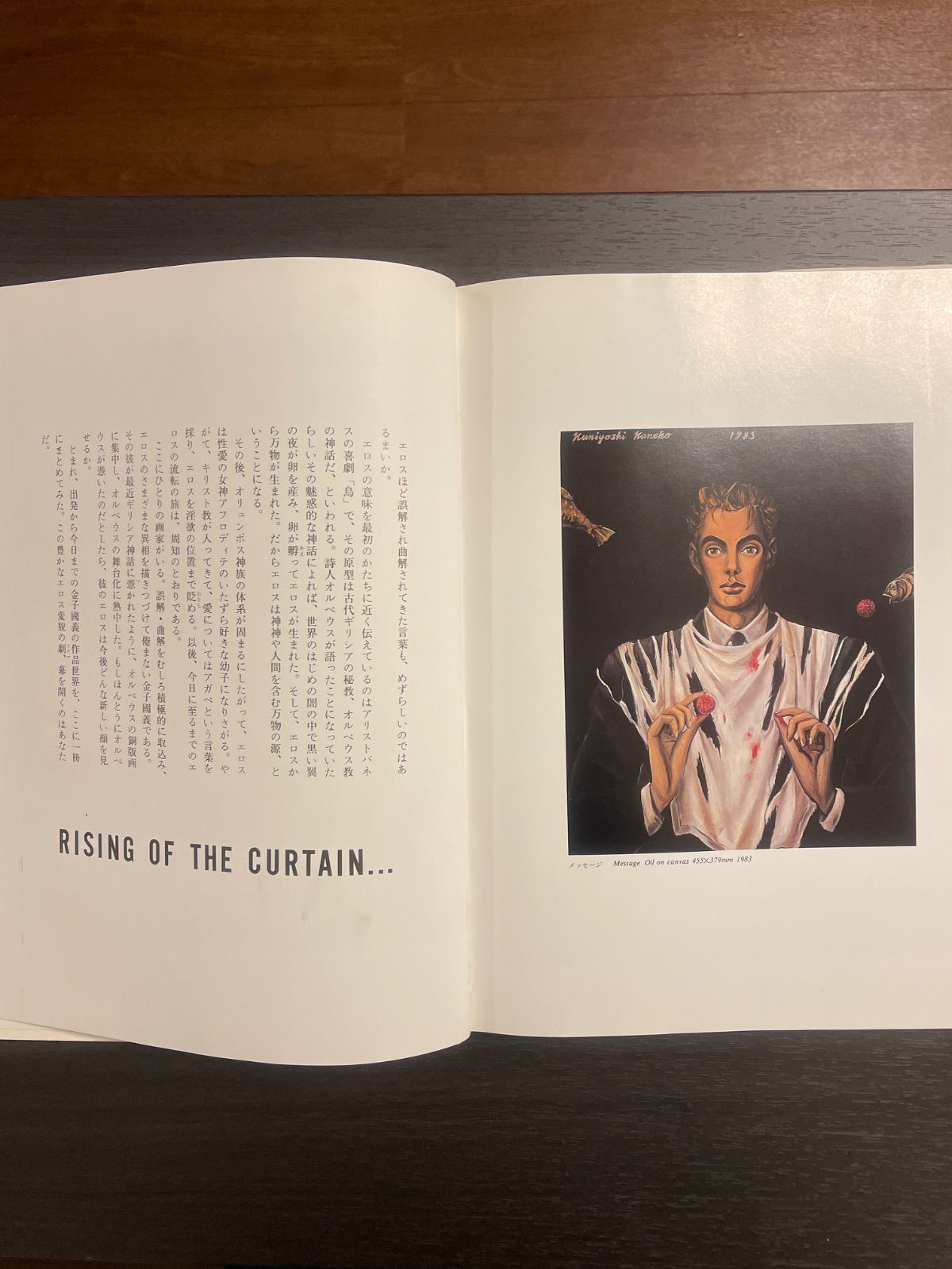 金子國義 エロスの劇場 画集 - メルカリ