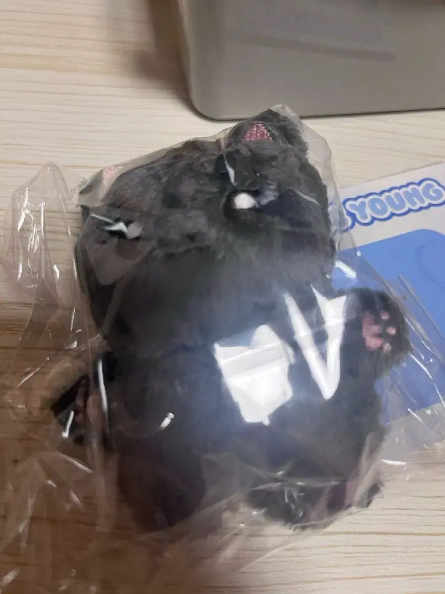 プロミスナイン ぬいぐるみ カミチェン イ チェヨン