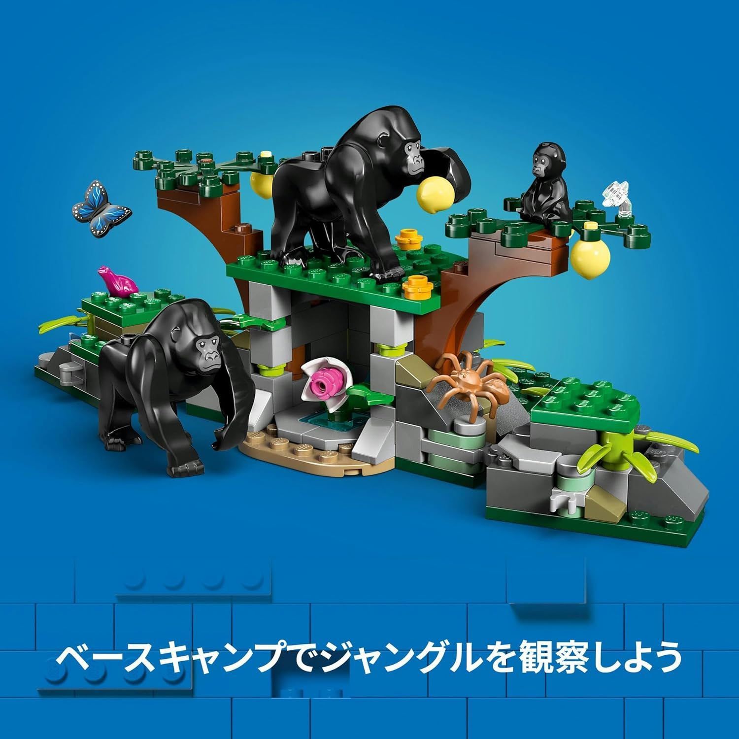 ジャングル探検