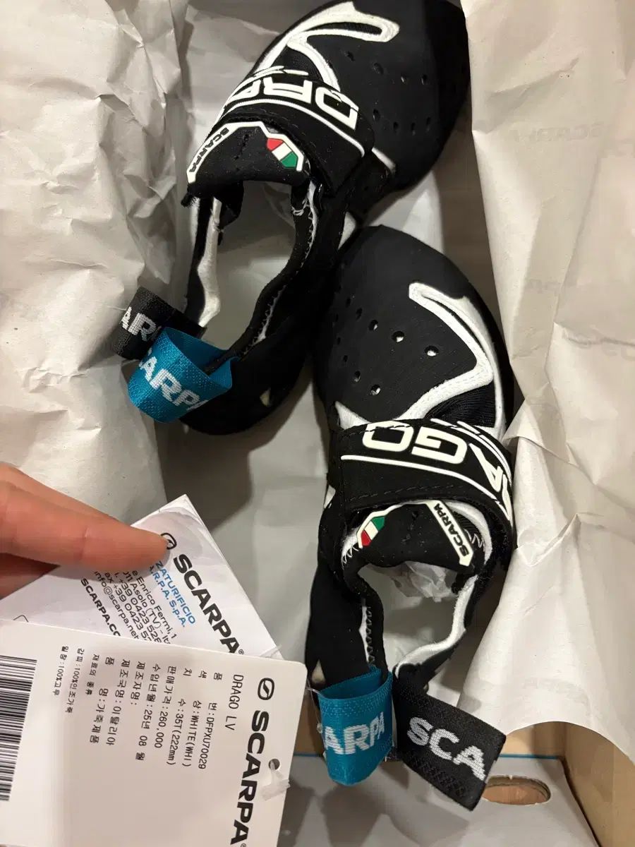 SCARPA スカルパ ドラゴLV 35 5 25年