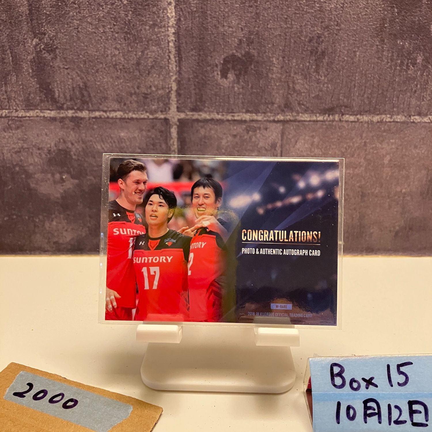 2018-19 V.LEAGUE 藤中謙也 251/510 直筆サインカード サントリー
