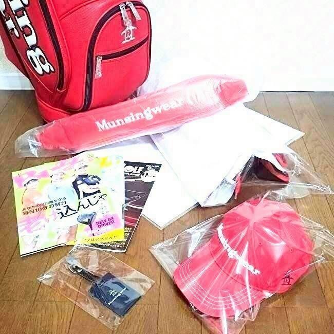 キャディバック