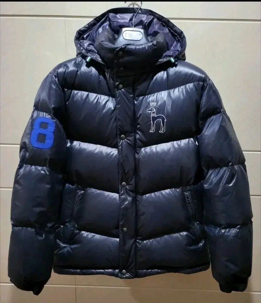 HAZZYS グースダウン 100