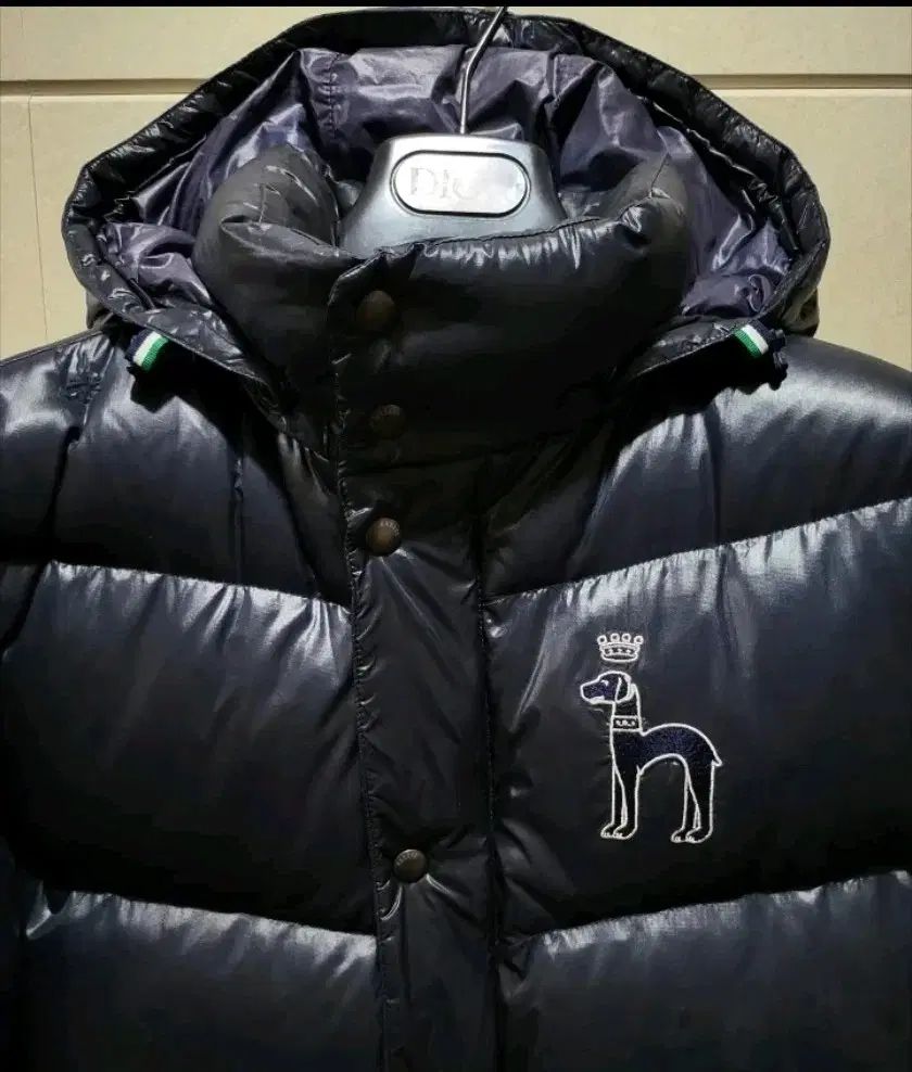 HAZZYS グースダウン 100