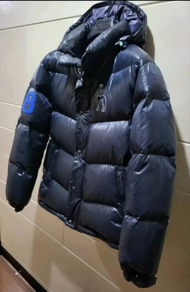 HAZZYS グースダウン 100