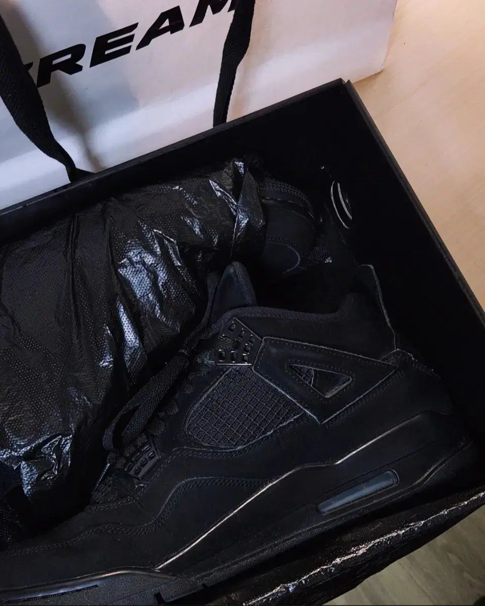 ジョーダン4 ブラックキャット 290