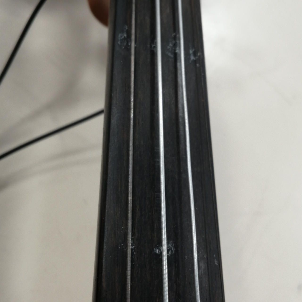 EASTMAN ヴァイオリン