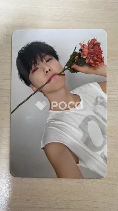 セブチ　ホシ　バラ売り可(おまけ付き) ホシ ぬいぐるみ マスター 10cm 新品 セブチ seventeen - メルカリ