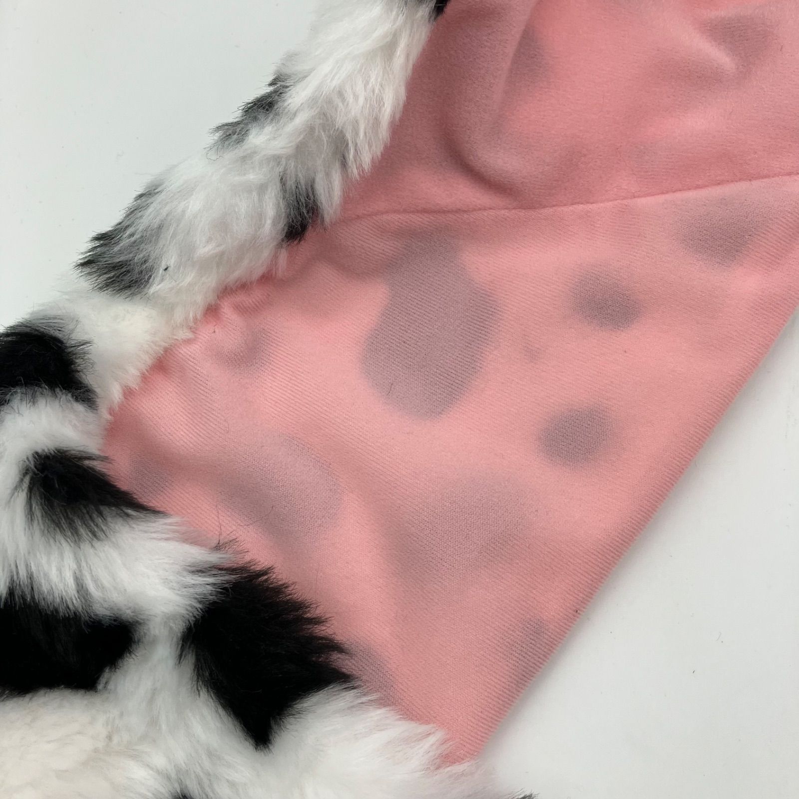 東京ディズニーリゾート Disney 101匹 わんちゃん ディズニー ファン