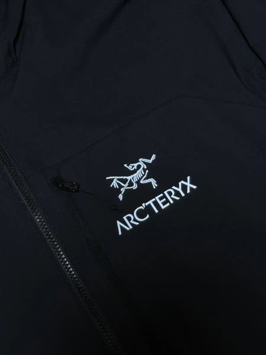 ARC TERYX アークテリクス スコーミッシュフーディ M ブラック