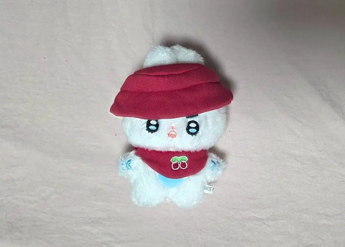 SEVENTEEN(セブンティーン・セブチ) エスクプス(S.COUPS・スンチョル