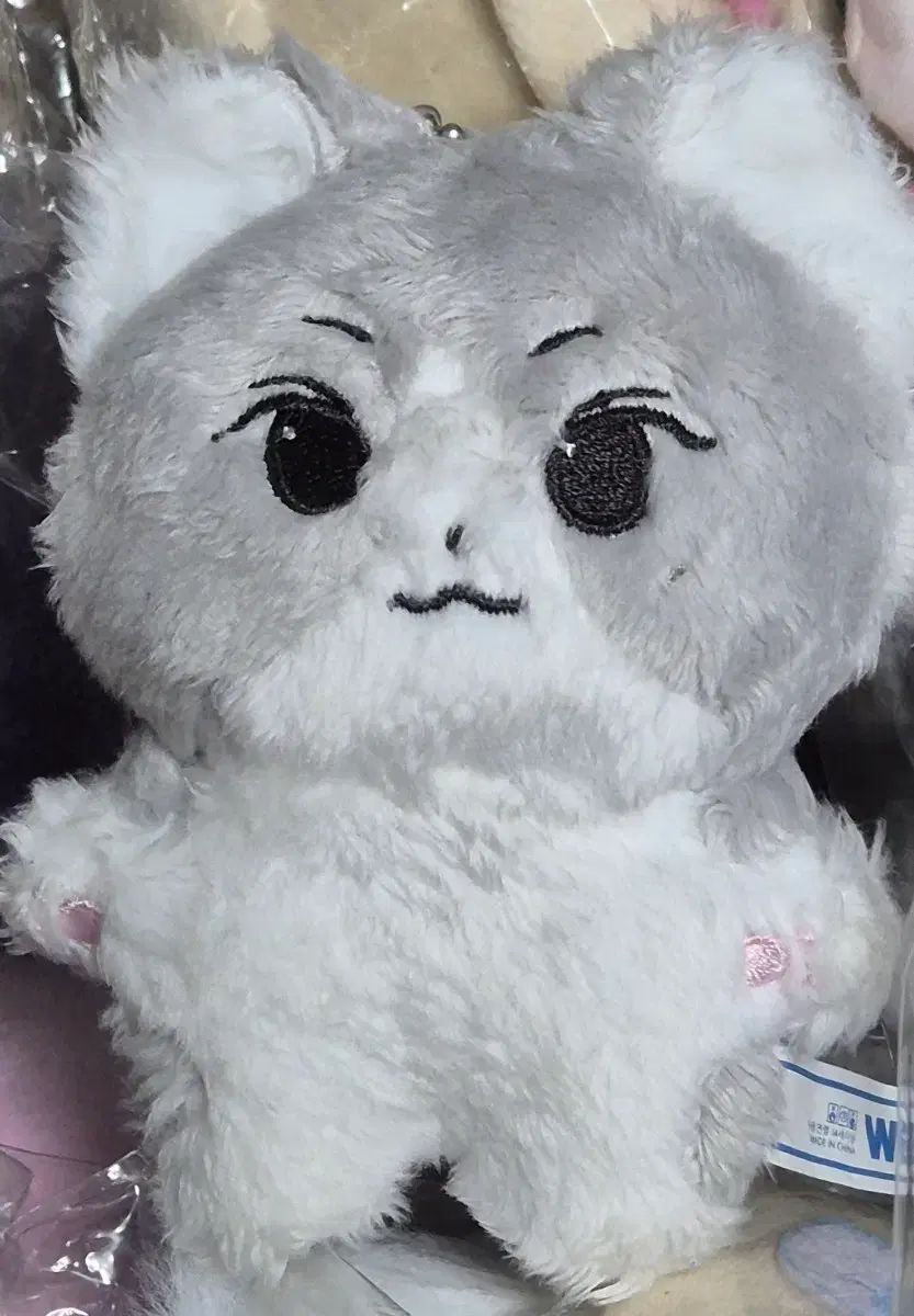 ENHYPEN（エンハイプン・エナプ） ジョンウォン(JUNGWON・ヤンジョン