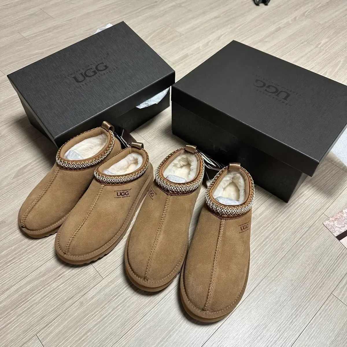 オッズウェア タスマン シドニー スリッパ EU 36 41