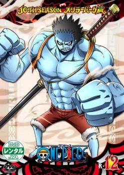 ONE PIECE ワンピース 10THシーズン スリラーバーク篇 R-12【アニメ